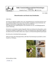 Read more about the article Unser Schulhund Fay